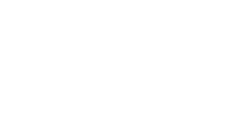 PPA logo representing membership with the Professional Photographers of America.